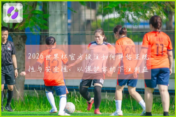 2026世界杯官方投注如何评估正规性与安全性，以保护你的下注利益