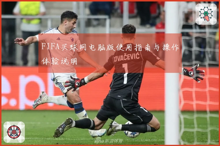 FIFA买球网电脑版使用指南与操作体验说明
