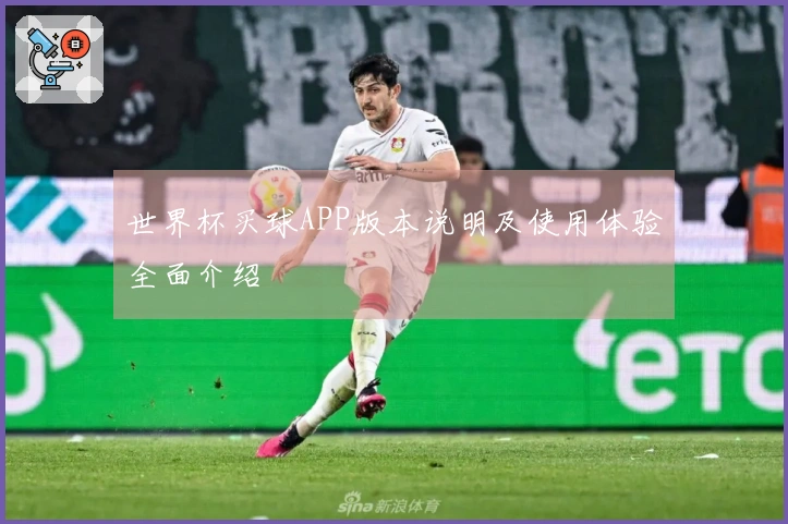 世界杯买球APP版本说明及使用体验全面介绍