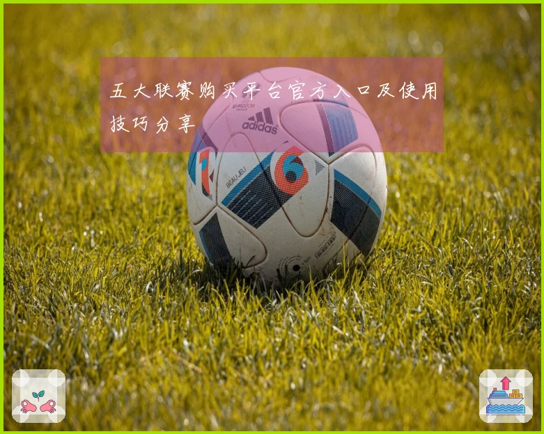 五大联赛购买平台官方入口及使用技巧分享