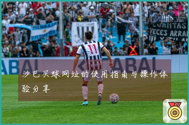 沙巴买球网址的使用指南与操作体验分享
