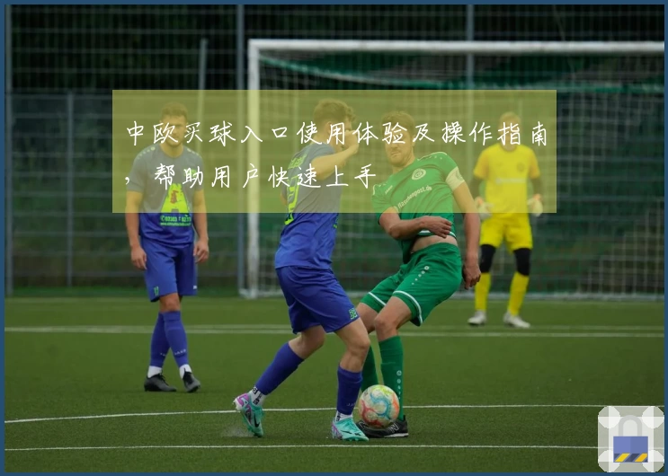中欧买球入口使用体验及操作指南，帮助用户快速上手
