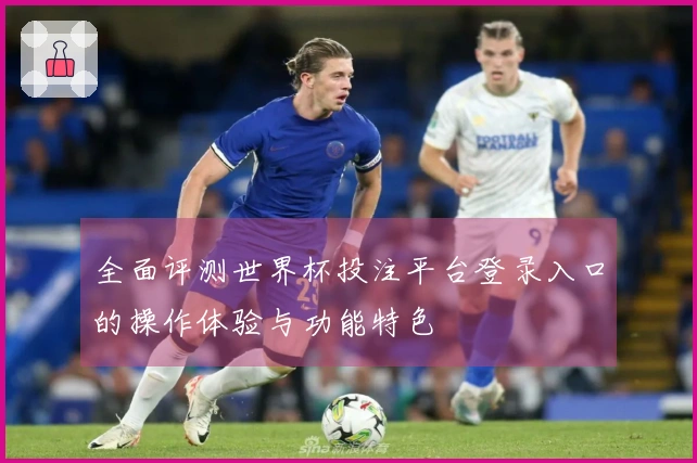 全面评测世界杯投注平台登录入口的操作体验与功能特色