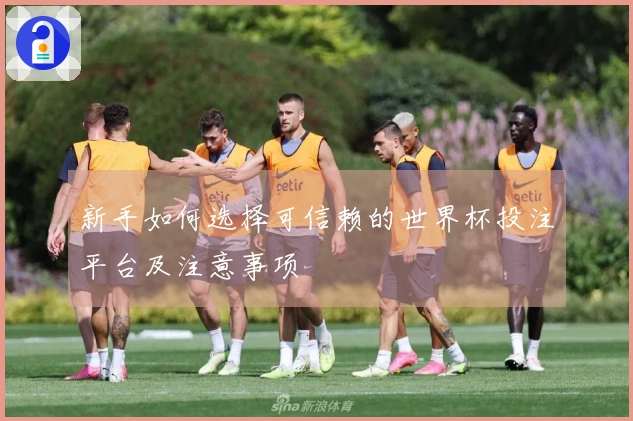 新手如何选择可信赖的世界杯投注平台及注意事项