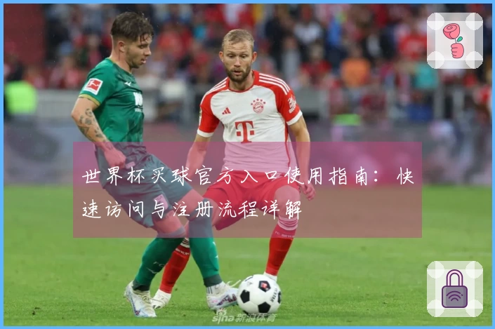 世界杯买球官方入口使用指南：快速访问与注册流程详解