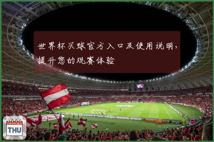 世界杯买球官方入口及使用说明，提升您的观赛体验