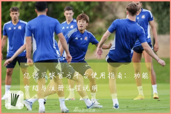 亿德买球官方平台使用指南：功能介绍与注册流程说明