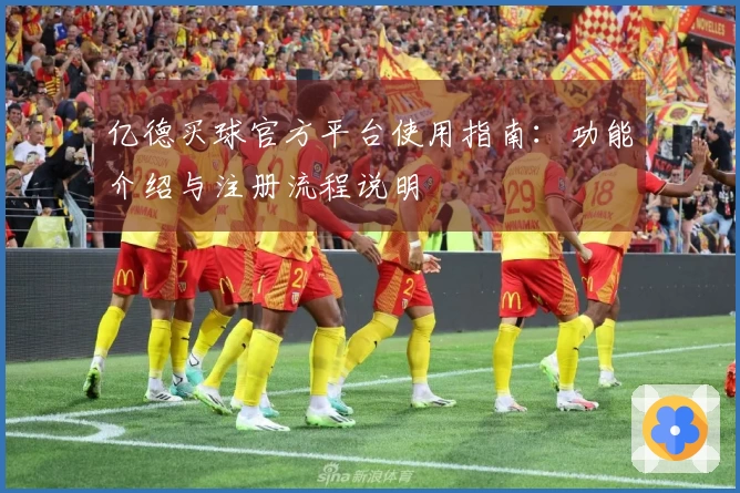 亿德买球官方平台使用指南：功能介绍与注册流程说明