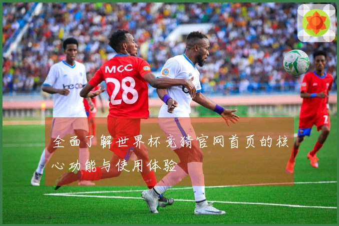全面了解世界杯竞猜官网首页的核心功能与使用体验