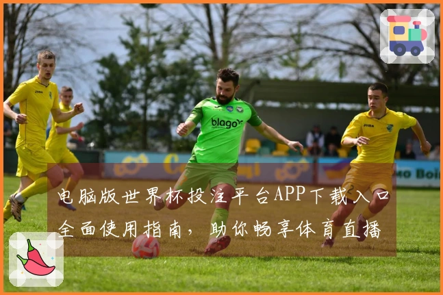 电脑版世界杯投注平台APP下载入口全面使用指南，助你畅享体育直播体验