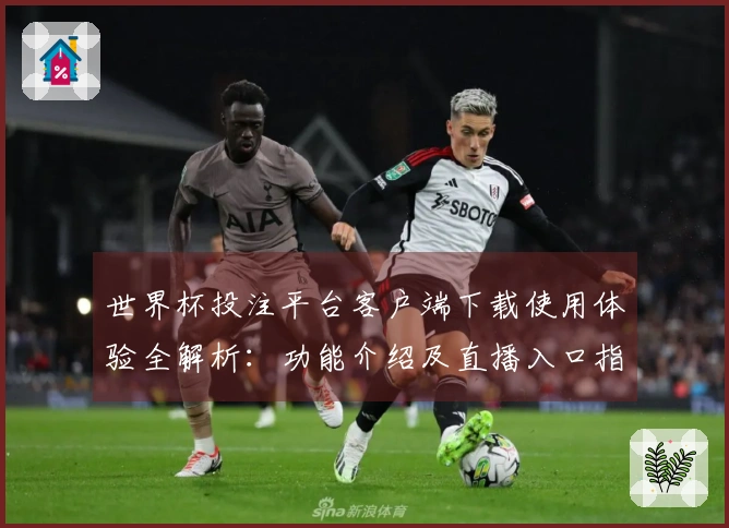 世界杯投注平台客户端下载使用体验全解析：功能介绍及直播入口指南