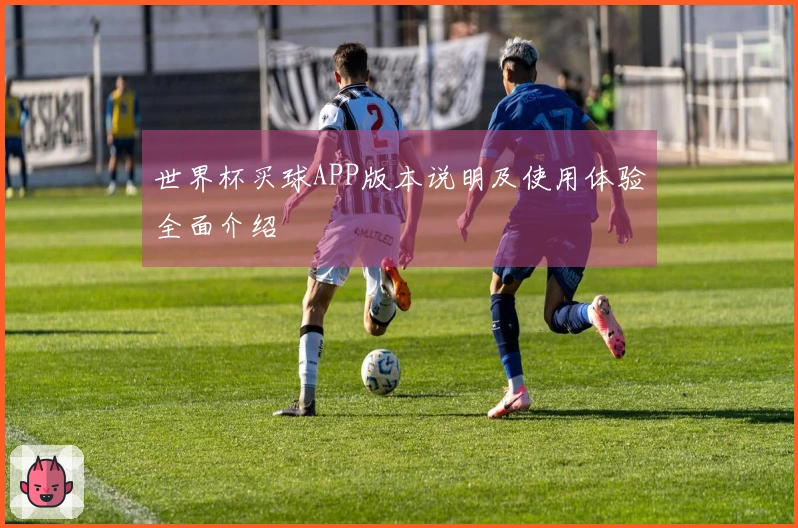 世界杯买球APP版本说明及使用体验全面介绍