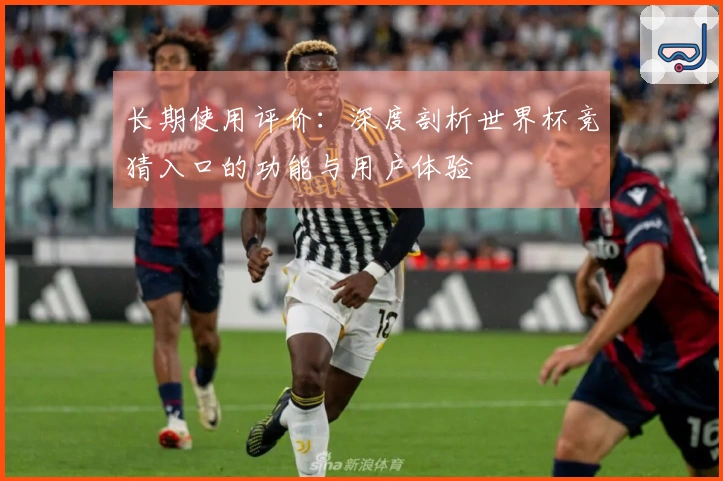 长期使用评价：深度剖析世界杯竞猜入口的功能与用户体验